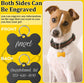 Dog Tag Pet ID - Embellish My Heart