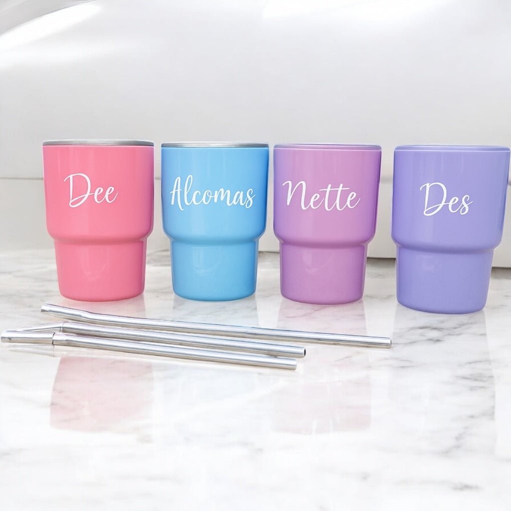 Mini Shot Tumbler with Lid and Straw – 3oz Double - Wall Stainless Steel for Parties, Travel & More - Embellish My Heart