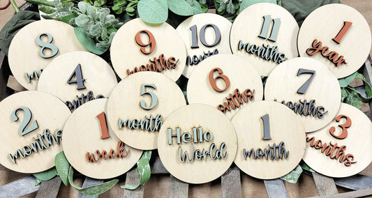 Baby Milestone Photo Prop Set - Embellish My Heart